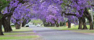 Tourism Listing Partner Grafton Accommodation