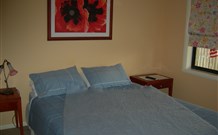 Busy Buzz - Accommodation in Surfers Paradise