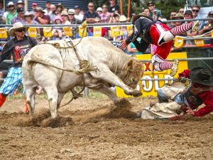 Jindabyne's Man From Snowy River Rodeo - Accommodation in Surfers Paradise