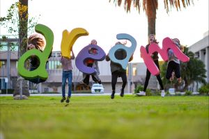 Macquarie Credit Union DREAM Festival - Accommodation in Surfers Paradise