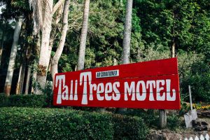 Tall Trees Motel Mountain Retreat - Accommodation in Surfers Paradise